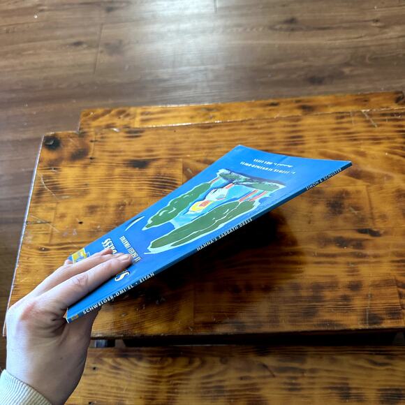 Vintage 1996 PJ Library Hanna's Sabbath Dress Jewish Paperback Book - Picture 9 of 9